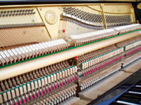 �yUSED�z ���}�n �A�b�v���C�g U10A�@5023