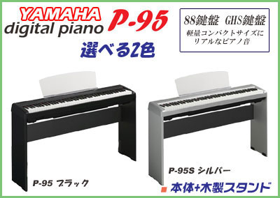 P-95L_v2.1.jpg