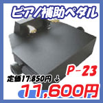 P23.jpg