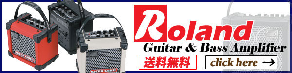 roland_amp_v2.jpg
